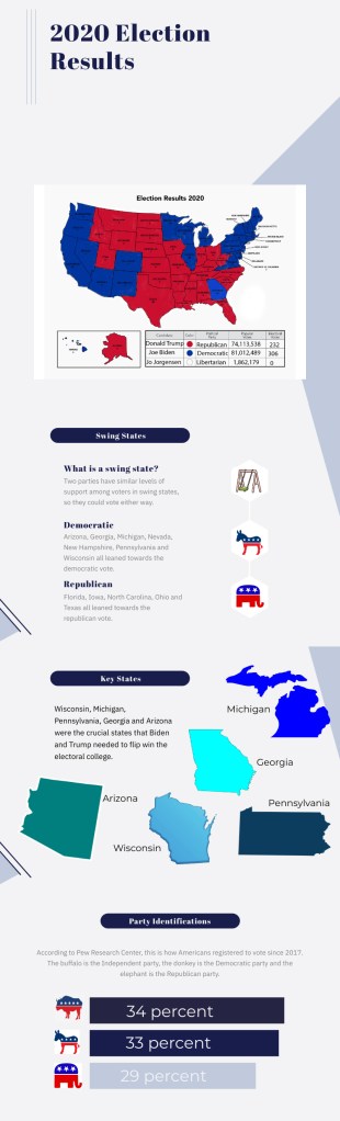 election infographic